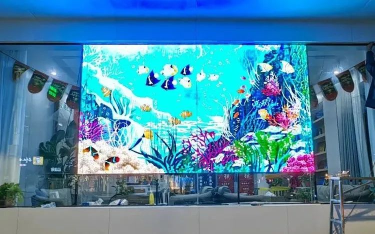 5.jpg 5.jpg